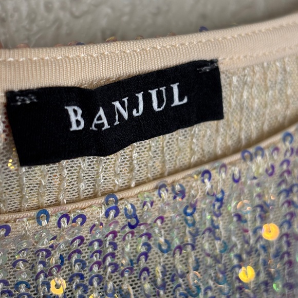 Banjul Champagne Beige Sequin Elegant Festive Midriff Top Women's Size Large - Picture 6 of 7